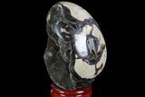 Septarian Dragon Egg Geode - Black Crystals #88364-1
